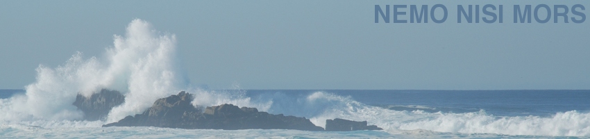 Monterey Peninsula (California, United States), December 2011 (Photo: Anders Gustafson)